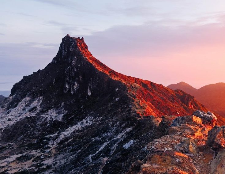 CREATOR: gd-jpeg v1.0 (using IJG JPEG v62), quality = 82